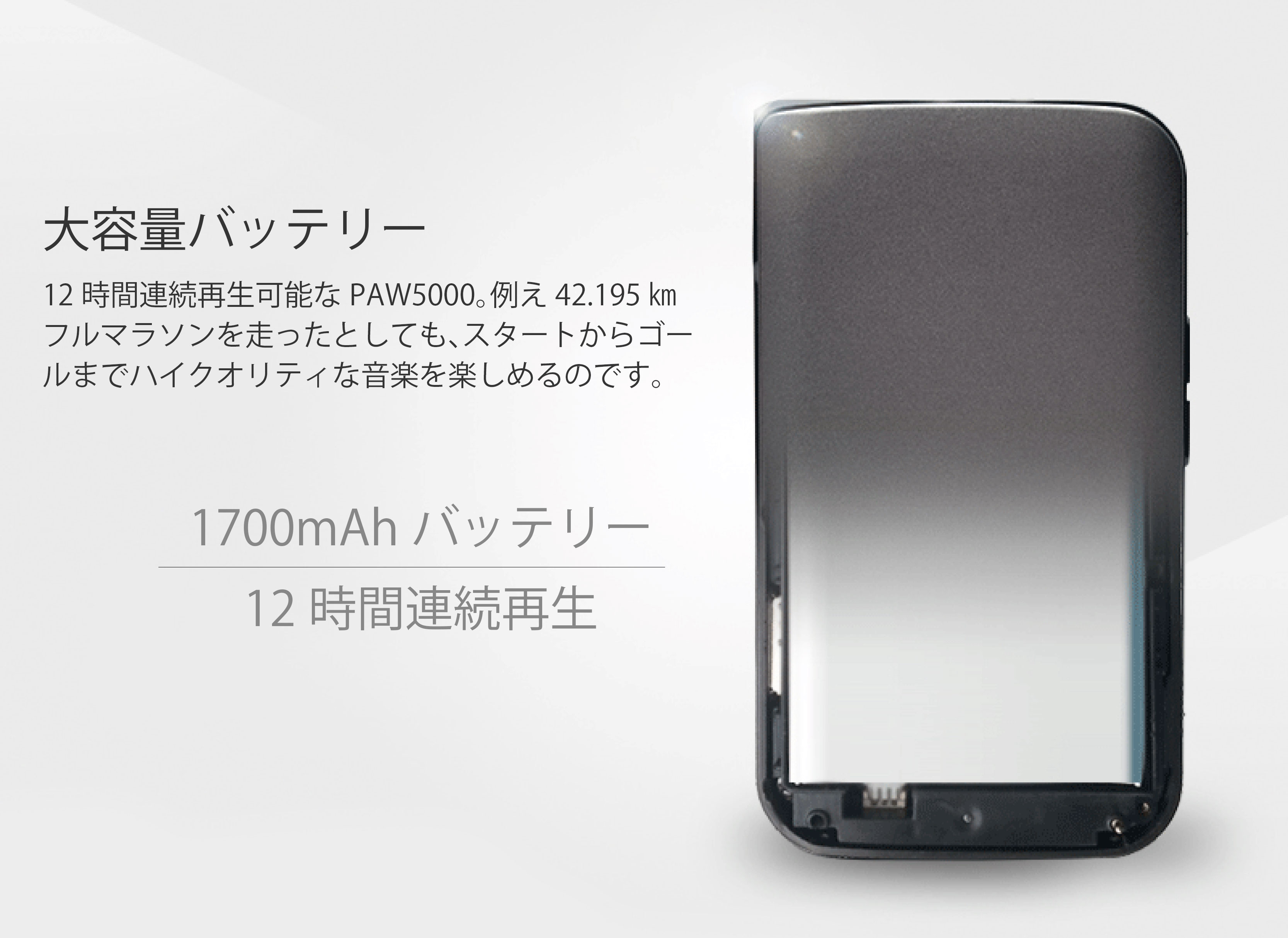 PAW5000_7