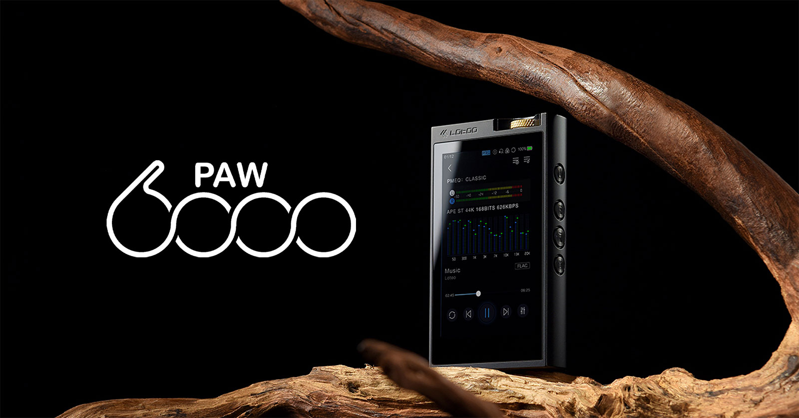 PAW6000_1