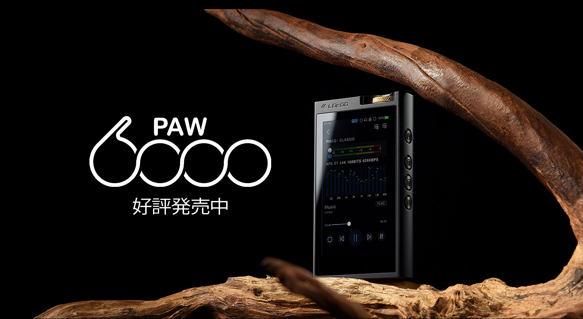 PAW6000_2
