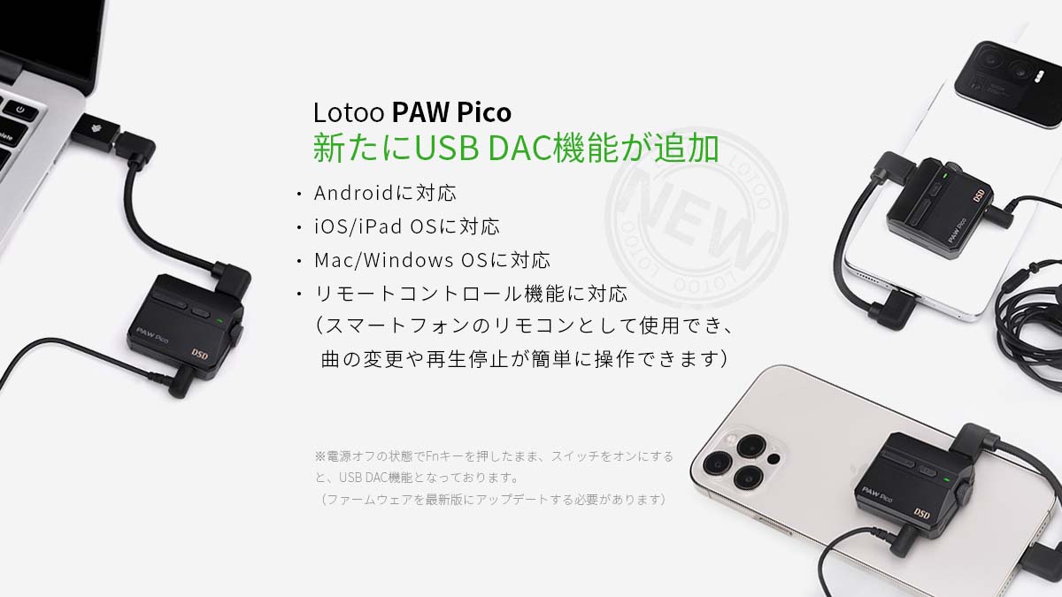 PAWPico_USB-DAC